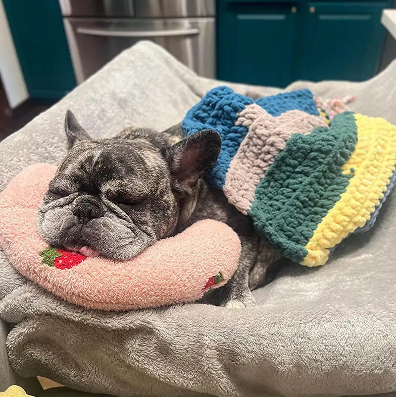 Fashion U-Shaped Neck Protector For pets