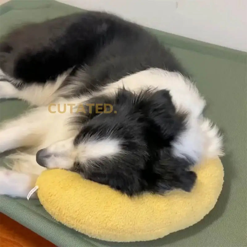 Fashion U-Shaped Neck Protector For pets