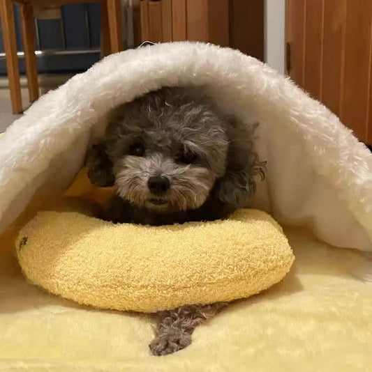 Fashion U-Shaped Neck Protector For pets